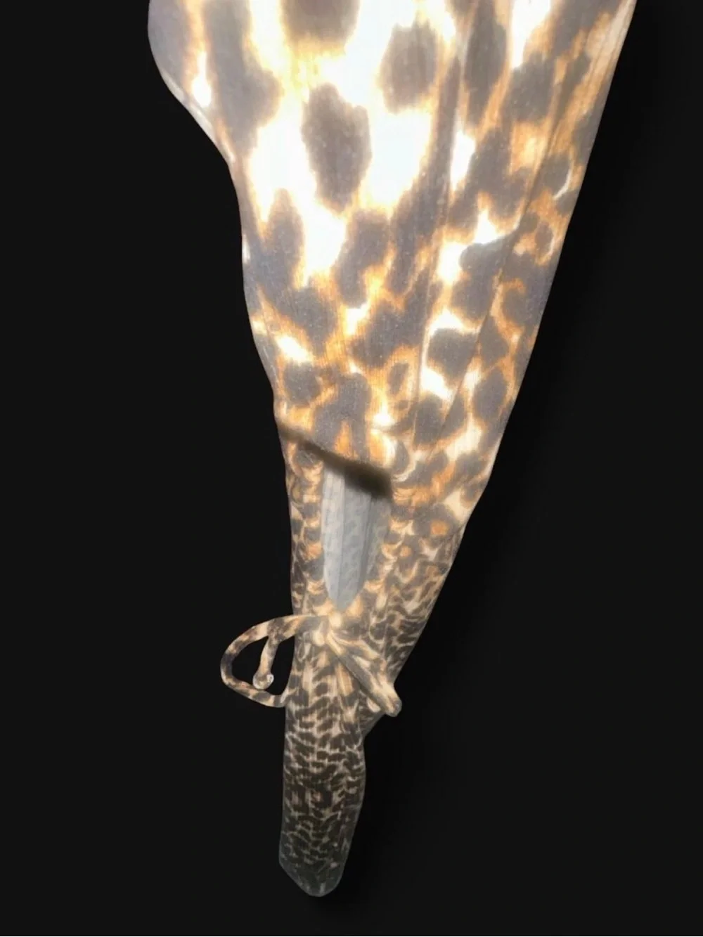 Forever 21 Leopard Print Spaghetti Strap Cami Dress - Brown & Black